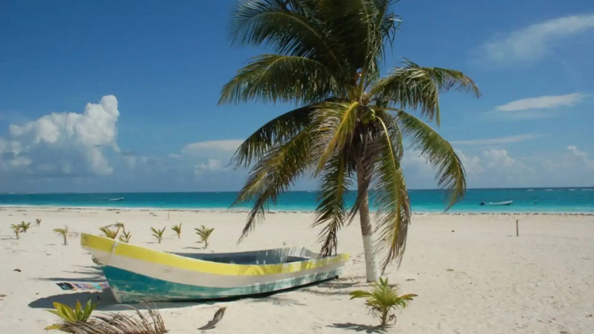 Playa del Carmen All Inclusive en Riu Lupita