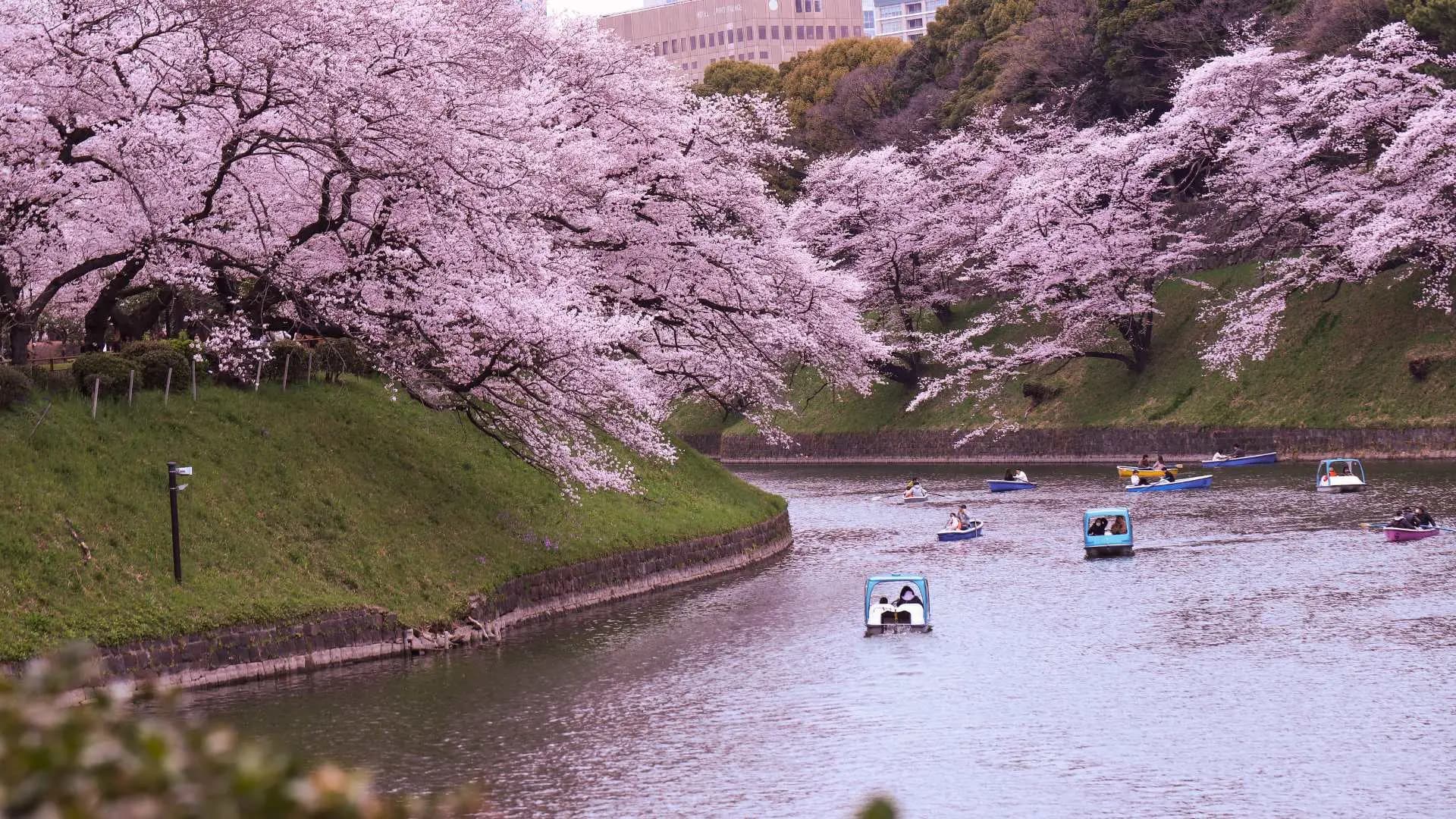 Fuji y Capitales Japonesas - Imagen 6