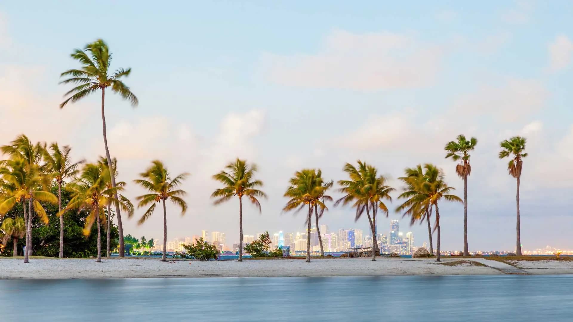 Miami en Collins Hotel - Imagen 9