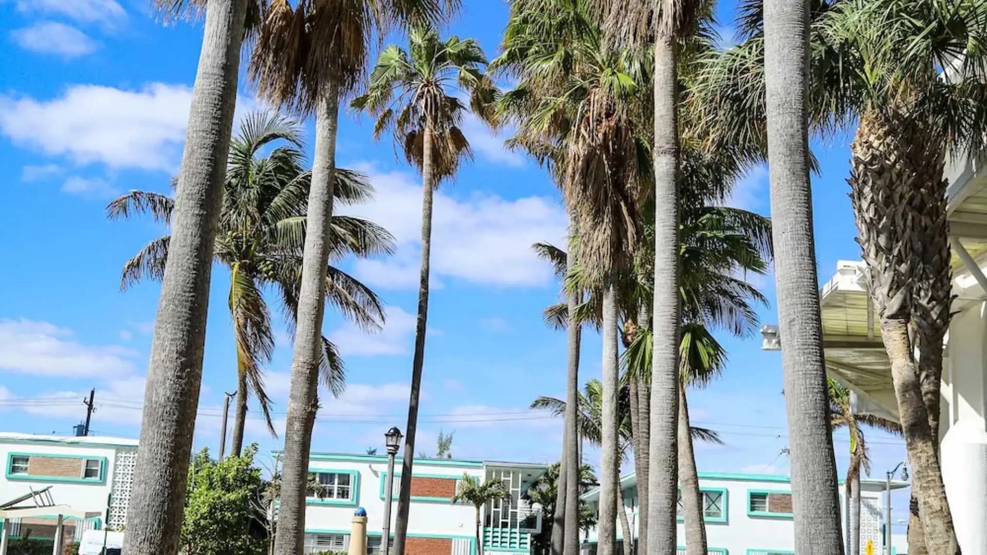 Miami en Collins Hotel - Imagen 4