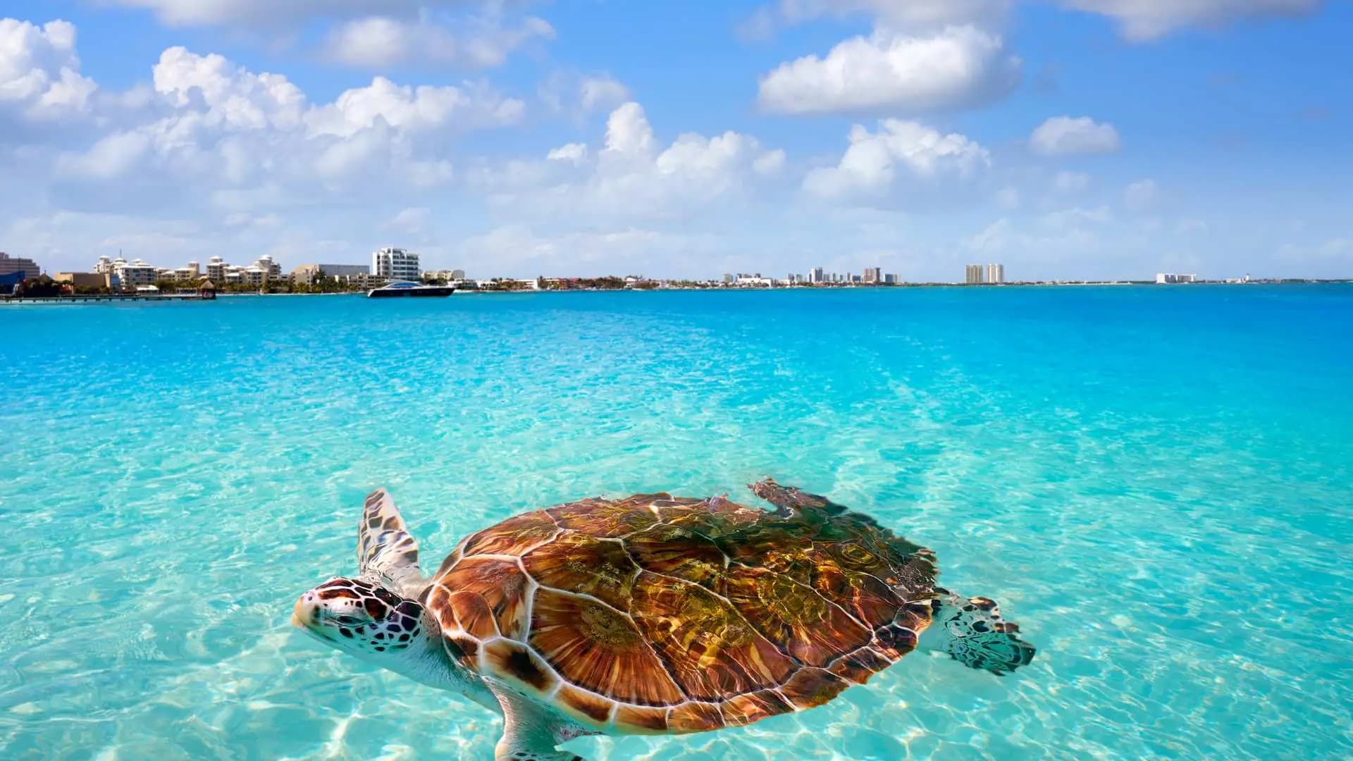 Cancún con Stop Over en Panamá - Imagen 3