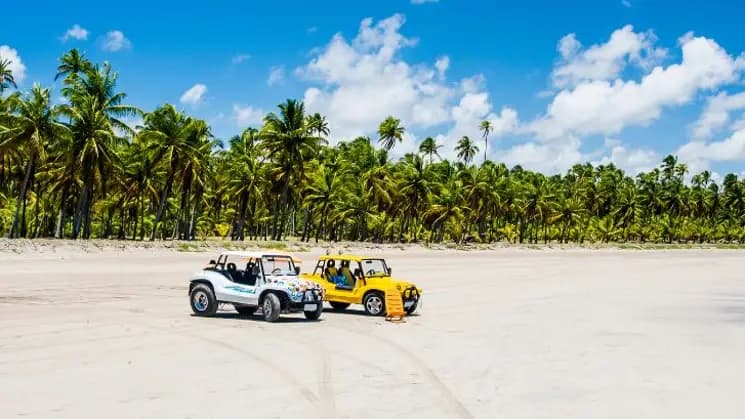 Maceió, Alagoas - Nordeste - Imagen 1