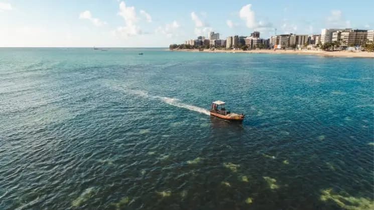 Maceió y Maragogi, Alagoas - Nordeste - Imagen 7