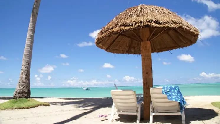 Maceió y Maragogi, Alagoas - Nordeste - Imagen 12