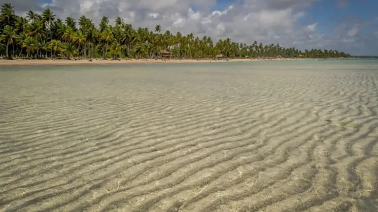 Maceió y Maragogi, Alagoas - Nordeste - Imagen 20