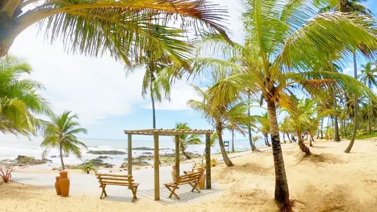 Bahía All Inclusive en Costa do Sauípe - Nordeste - Imagen 4