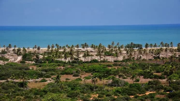 Natal y Pipa, Rio Grande del Norte - Imagen 8