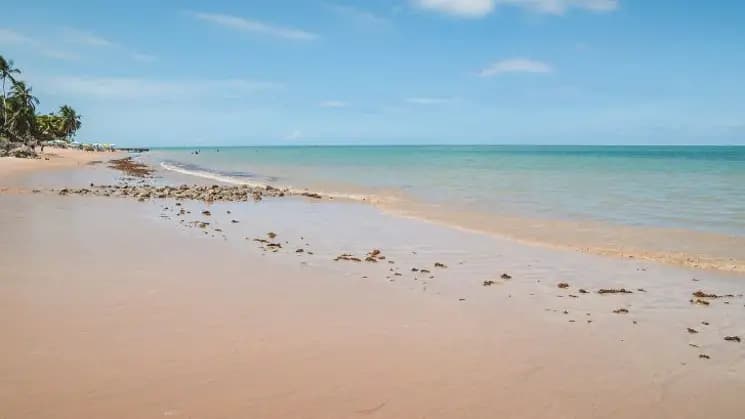 Joao Pessoa, Paraíba - Imagen 5