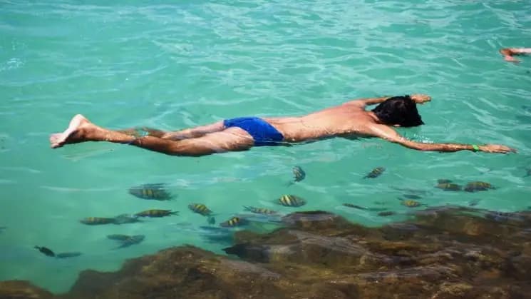 Porto de Galinhas y Maragogi - Nordeste - Imagen 14
