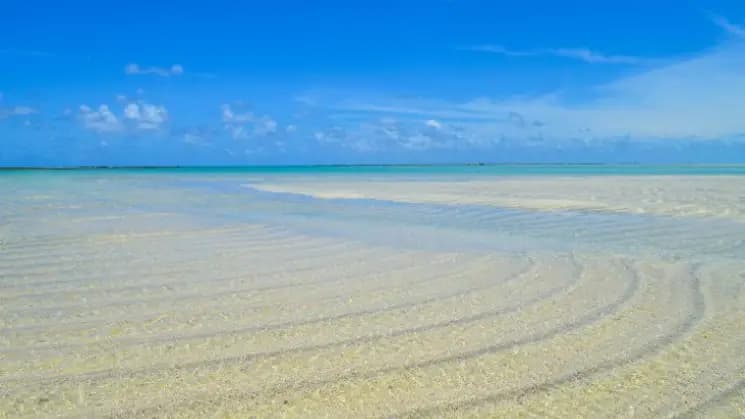 Porto de Galinhas y Maragogi - Nordeste - Imagen 16