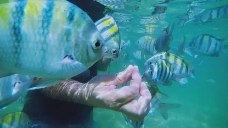 Porto de Galinhas y Maragogi - Nordeste - Imagen 7