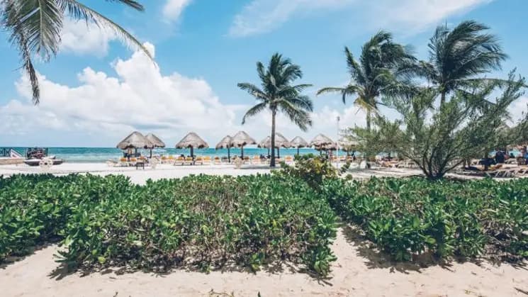 Playa del Carmen All Inclusive en Iberostar Selection Paraíso Lindo - Imagen 2