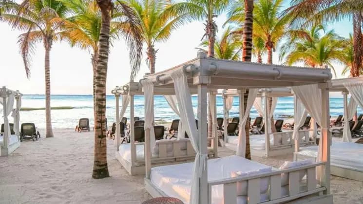 Playa del Carmen All Inclusive en Sandos Caracol Eco Resort - Imagen 3