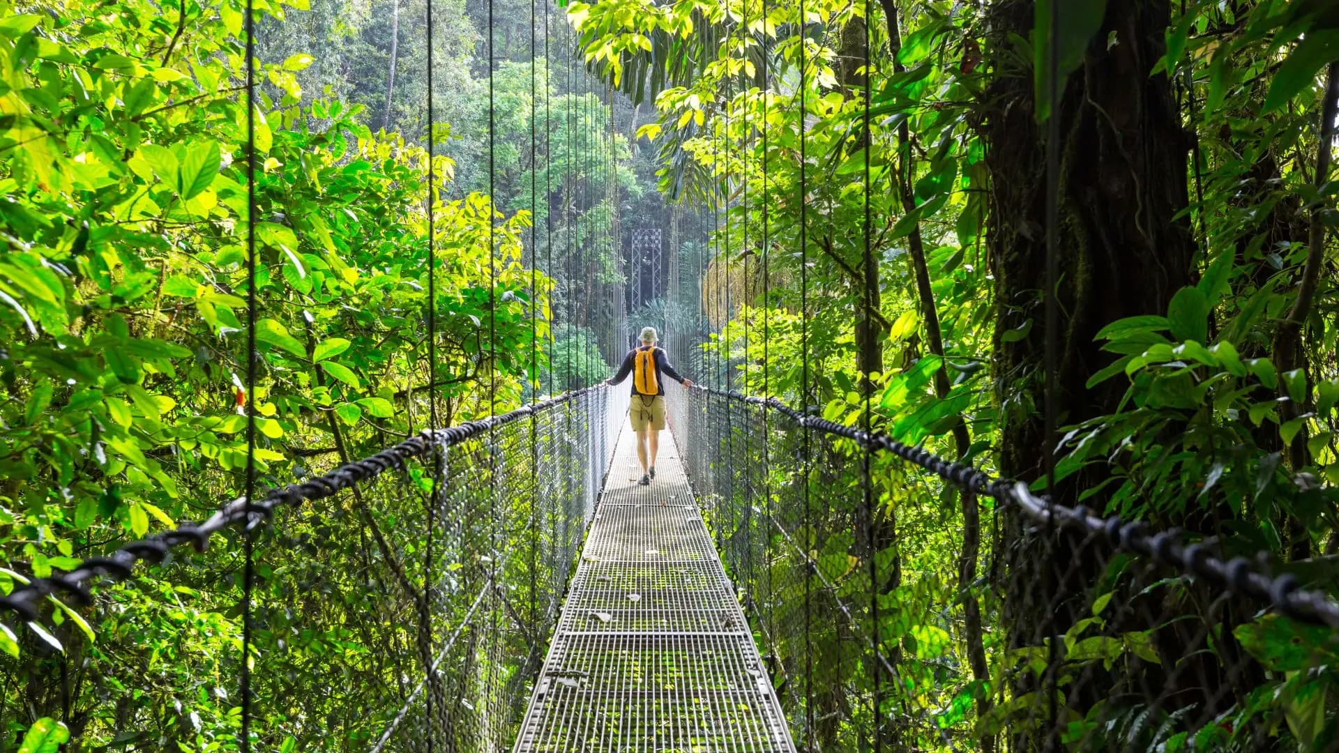 Esencial Costa Rica - Imagen 1